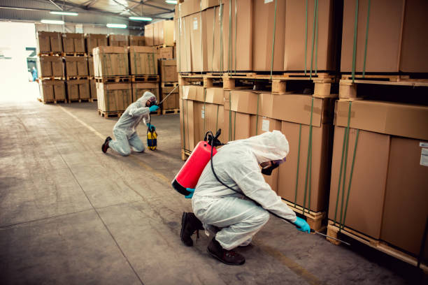 Best Mosquito Control Services  in Hays, KS