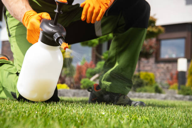 Best Wasp Removal Services  in Hays, KS