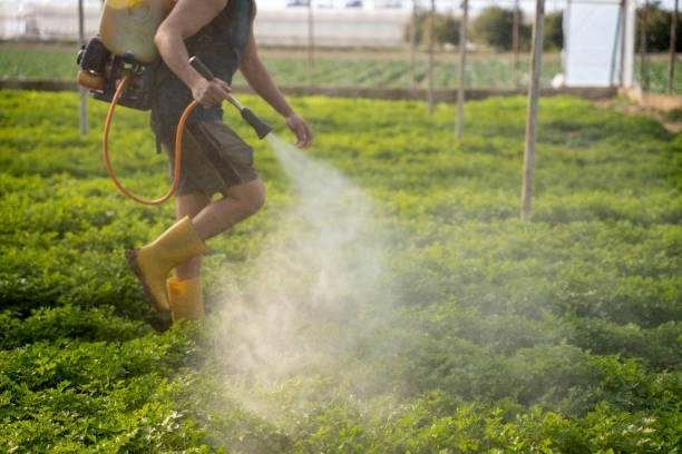 Reliable Hays, KS Pest Control Solutions