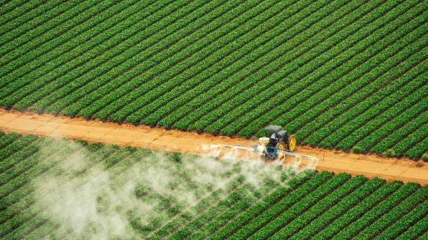 Best Best Pest Control Companies  in Hays, KS