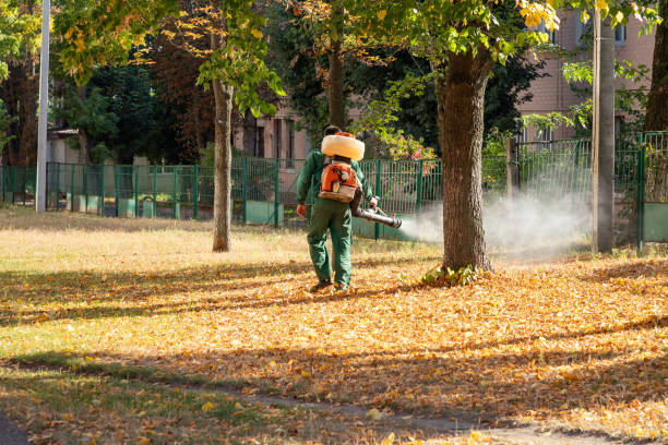 Best Pest Removal Services  in Hays, KS