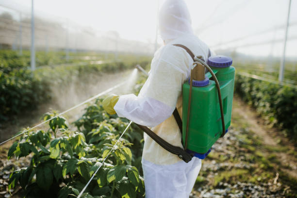 Best Pest Prevention Services  in Hays, KS